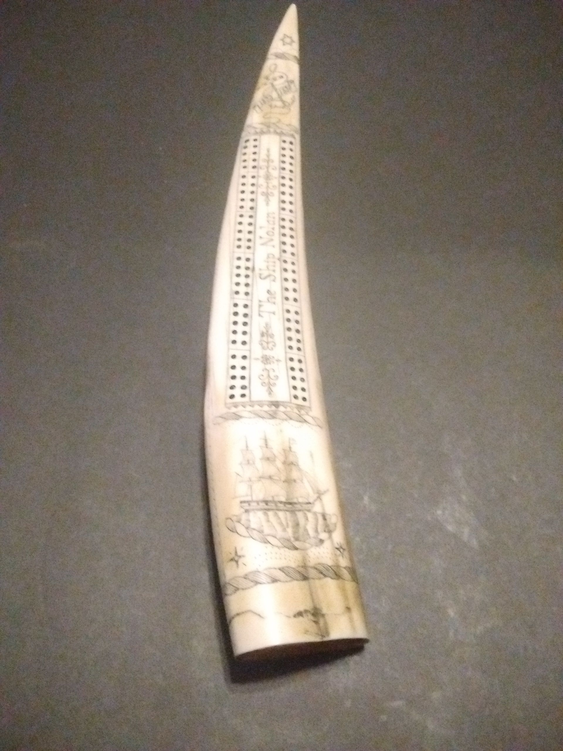Walrus Tusk Estate Auction Item