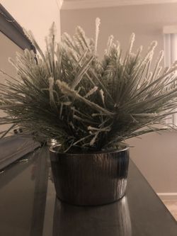 Silver Ceramic Vase With Winter Greenery’s 