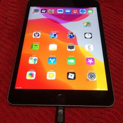Ipad Mini 4 
