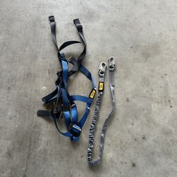 Safety Harness 