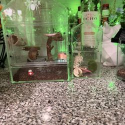 Spider Habitat – Only Used For Four Months