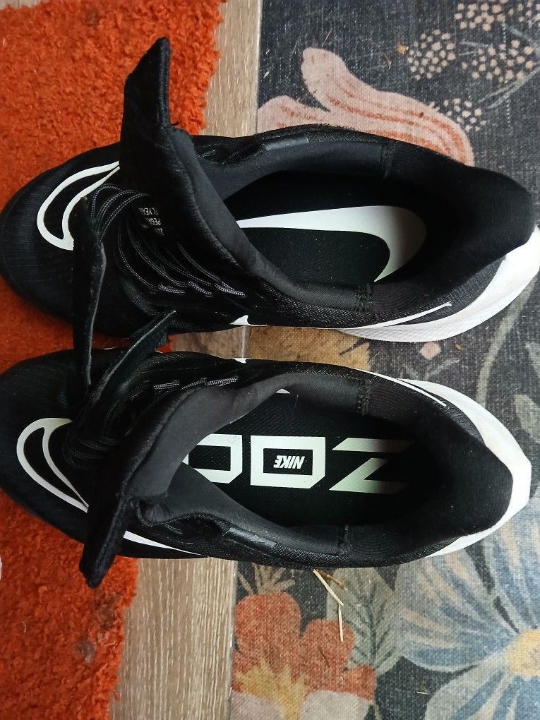 Nike Zoom Pegasus Fly Ease