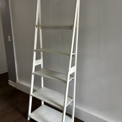Bookshelf Ladder