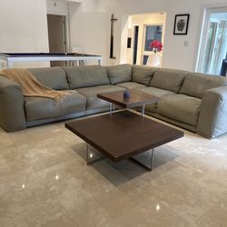 The entire couch and coffee table - insanely cheap price