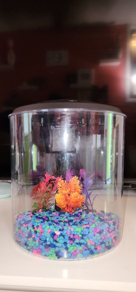 1.5 Gallon Round Fish Tank