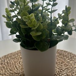 Small fake plants 