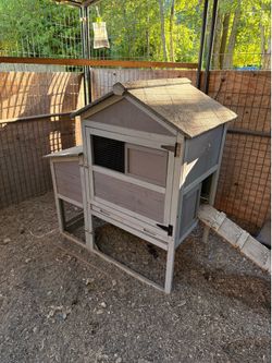 Small chicken coop