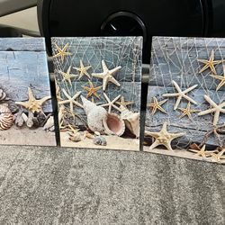 Canvas Prints, Set Of 3