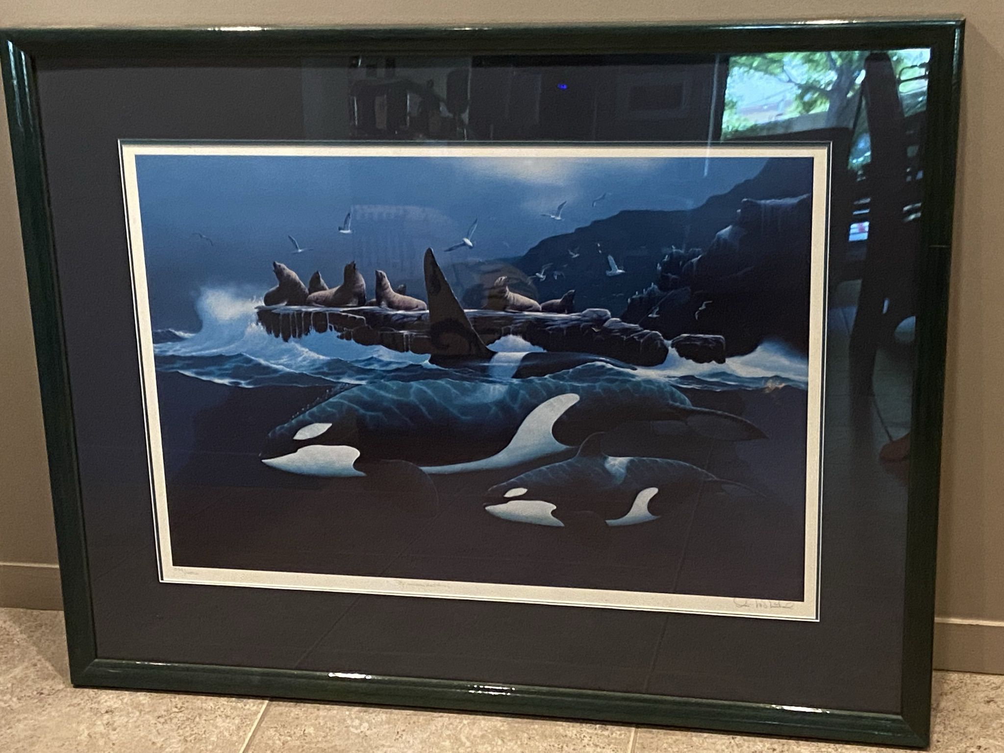 Killer Whales Illustration With Seals 