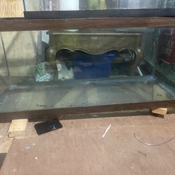 75 Gallon Fish tank / Stand