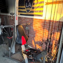 Bowflex Exercise Machine 