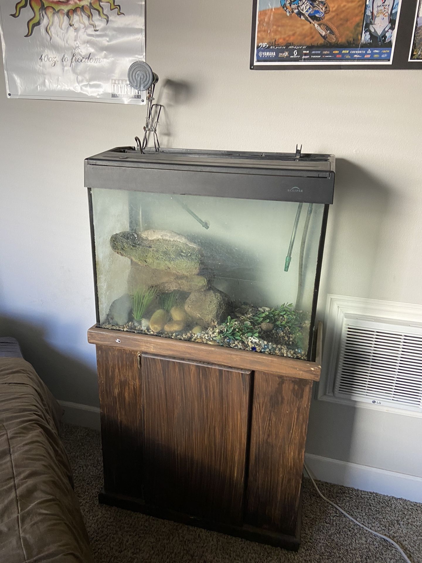 Fish Or Turtle Tank