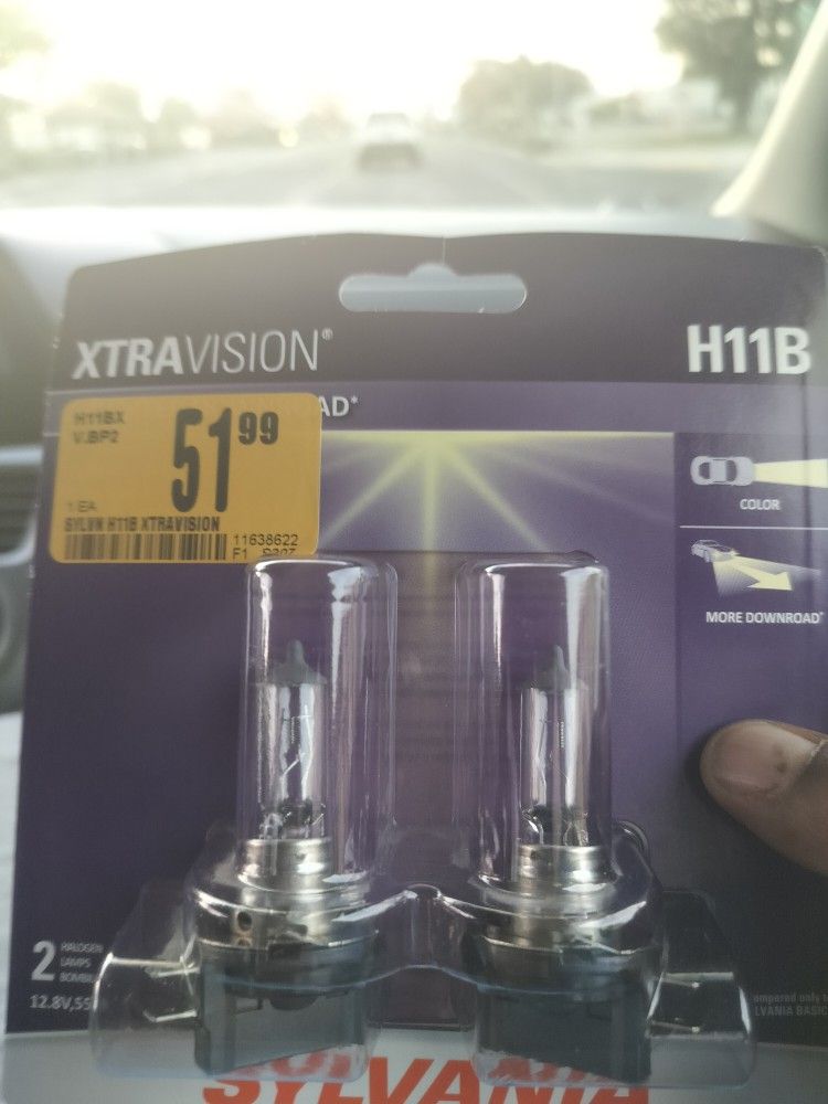 Sylvester h11B