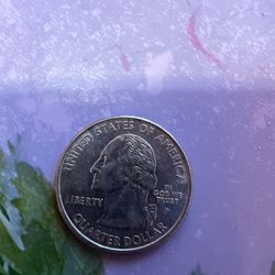 2008 P Alaska 1959 State Quarter Coin 25c GRIZZLY BEAR