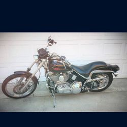 Harley Davidson Custom Softail Motorcycle 