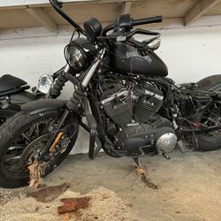 Harley MOTORCYCLE 