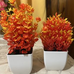 Mini Artificial Plants 