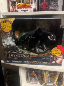 How to Train Your Dragon Tame & Train Interactive Toothless - 60+ Reactions