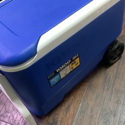 New Igloo 38Q Cooler Wit Wheels