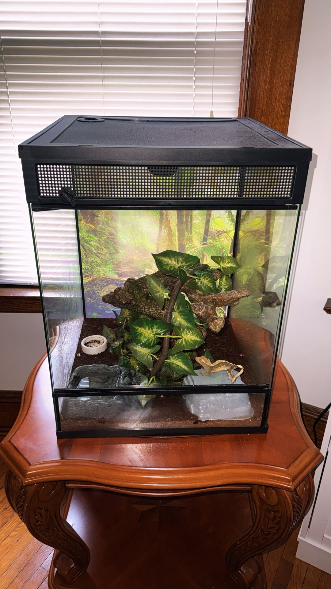 Zoo Med Tropical Reptile Terrarium 30 gallon
