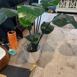Artificial Plant 