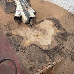 Stumps Grinding 