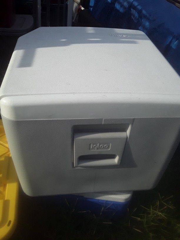 Igloo 40 Qt Electric Cooler. 