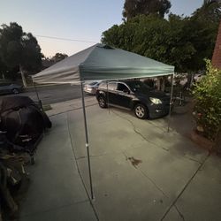Canopy 