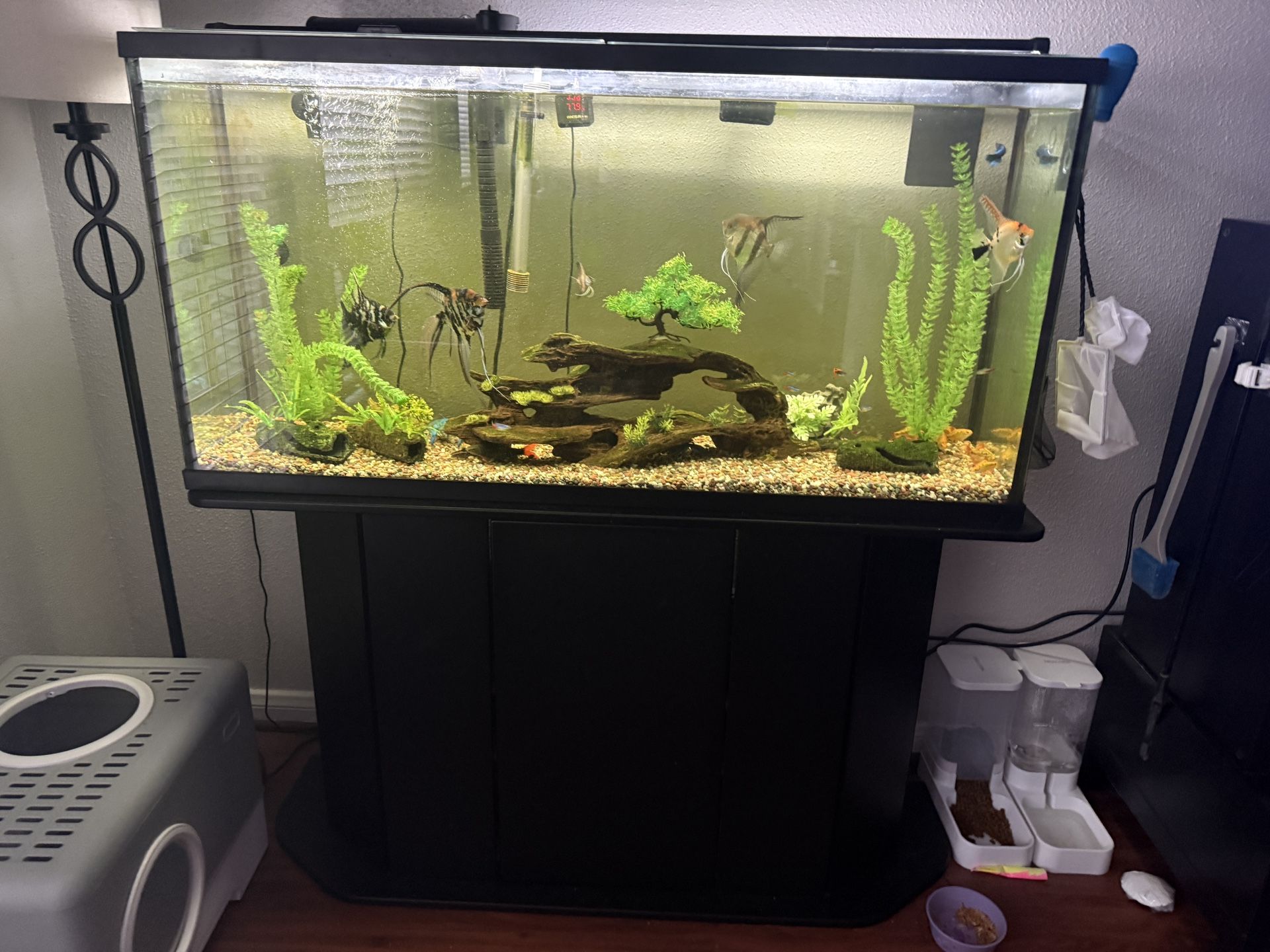 Fish Tank Set ALL ALL ALL INCLUDED Even Food, Stand, Decorations, Nets, Etc PECERA DE 75 GALONES