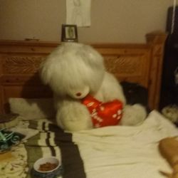 Xxxl Bear