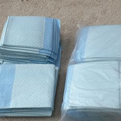 80 Counts of Pet Pee Pads (Large, 22inch x 22 inch)