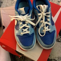 Kids Low Nike Dunks 