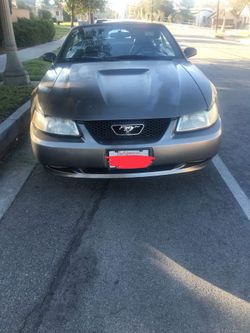 Ford Mustang 2000