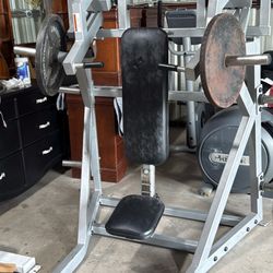 Promaxima Shoulder Press 