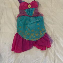 Ariel Costume 4-6