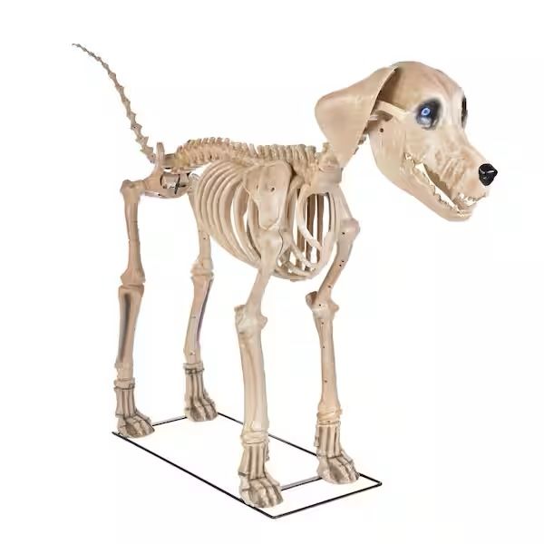 7ft Skelly's Dog w/ LCD Eyes Home Accents Halloween Home Depot Skeleton