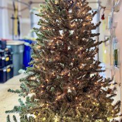 Santa’s Own 7.5’ Balsam Fir Christmas Tree – 600 StayLit Clear Lights