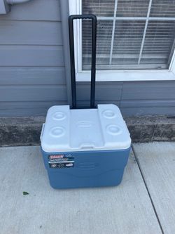 Ice cooler