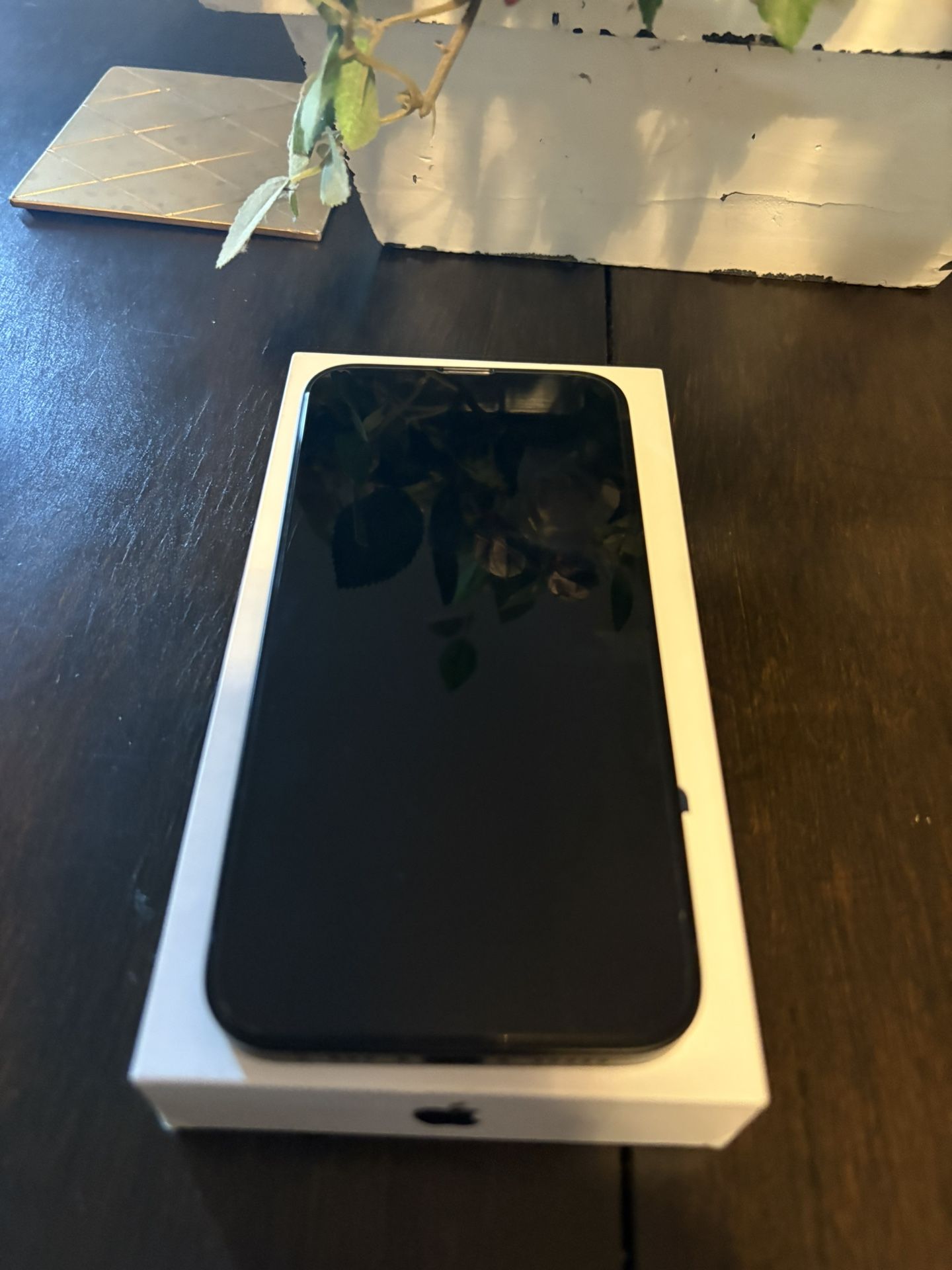 iPhone 16e