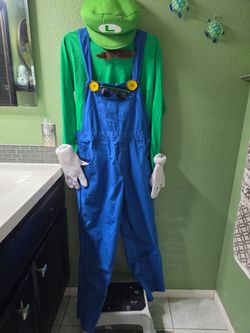 Mario & Luigi Halloween costumes