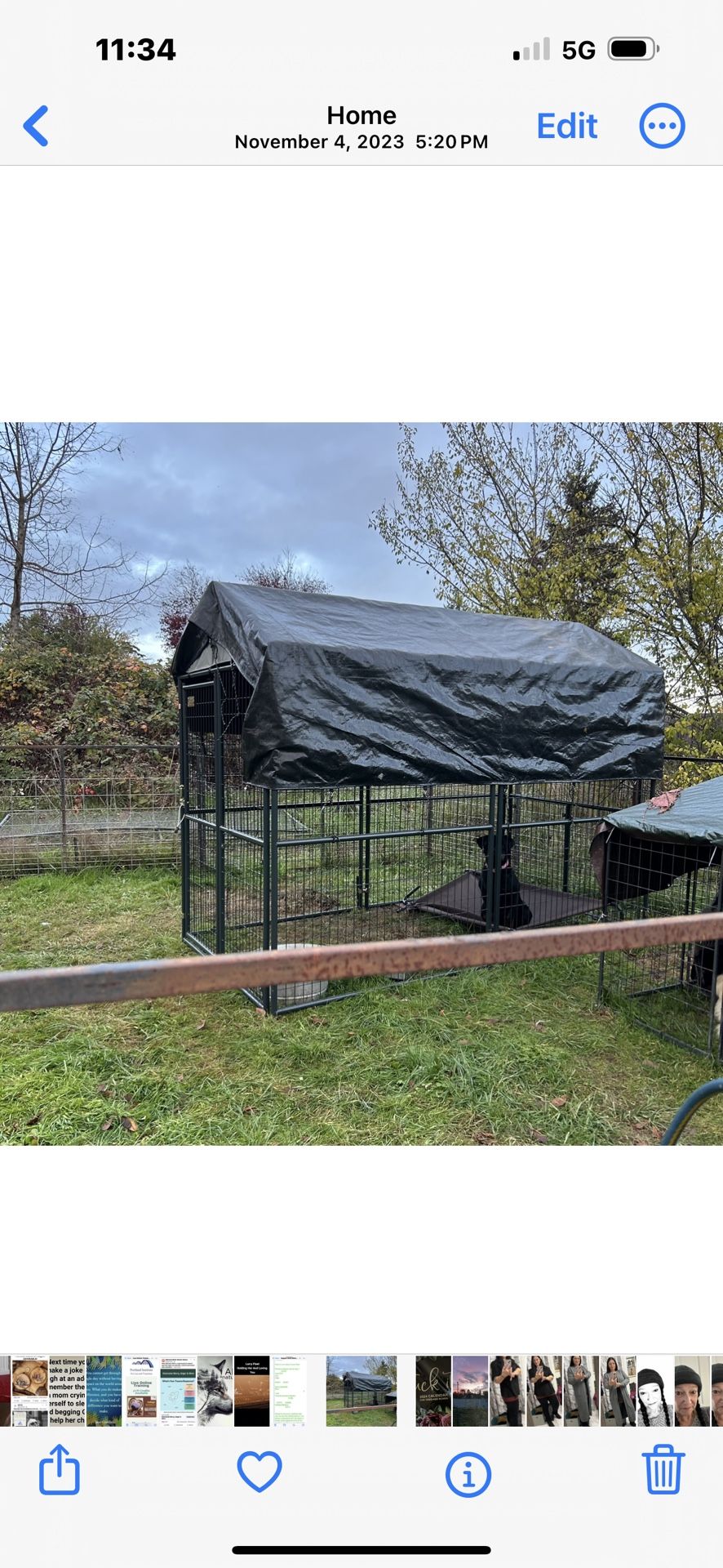 Large Kennel