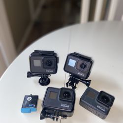 Gopro 7 Black ($120 each) 