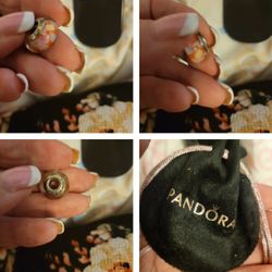 Pandora Bracelet Charm