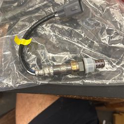 Oxygen Sensor
