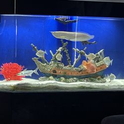 Fish Tank Acrylic 100 Gallon 