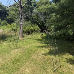 Metal Arch Trellis