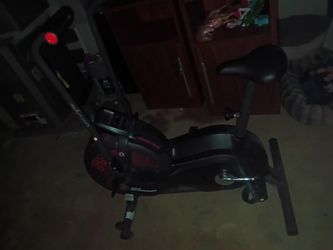 Schwinn Airdyne Exercise Bike