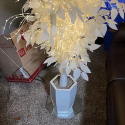 Lighted Ficus Tree