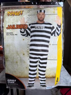 Inmate costume
