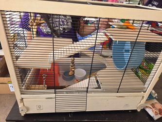 HAMSTER CAGE BUNDLE ALL INCLUDED $70 (PICK UP IN MESA)